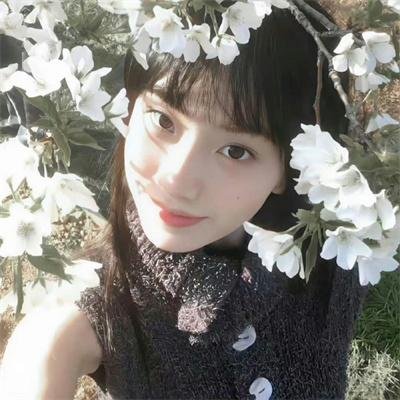 马克辛的归来